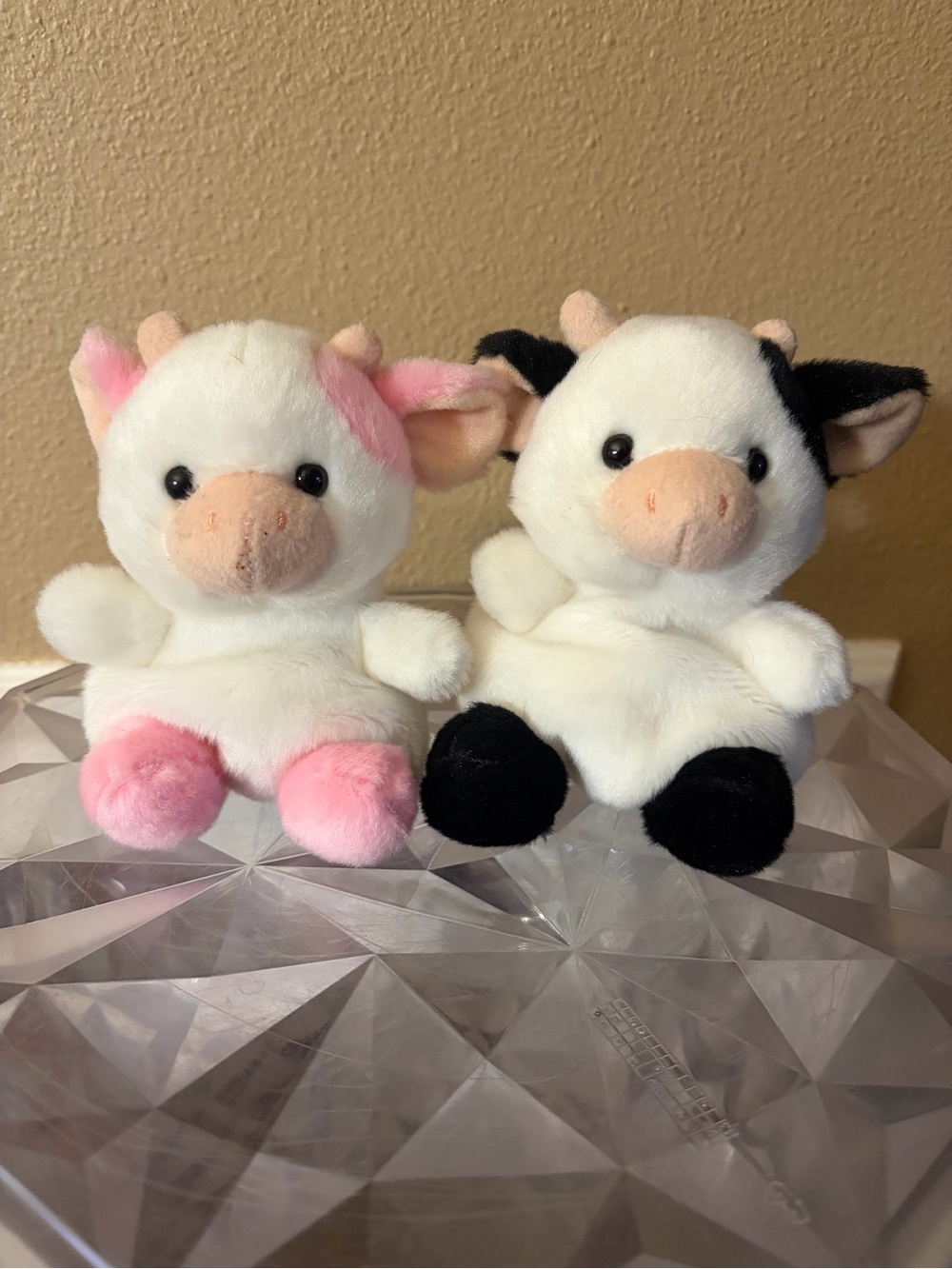Palm Pals Sweetie Cow and Berry Belle lot of 2 Palm Pals Cows CUTE!
